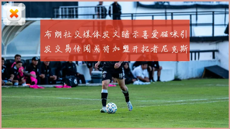 布朗社交媒体发文暗示喜爱猫咪引发交易传闻或将加盟开拓者尼克斯雷霆湖人