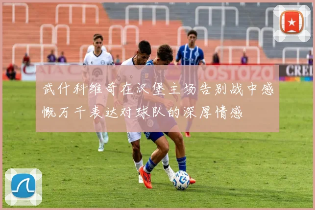 武什科维奇在汉堡主场告别战中感慨万千表达对球队的深厚情感